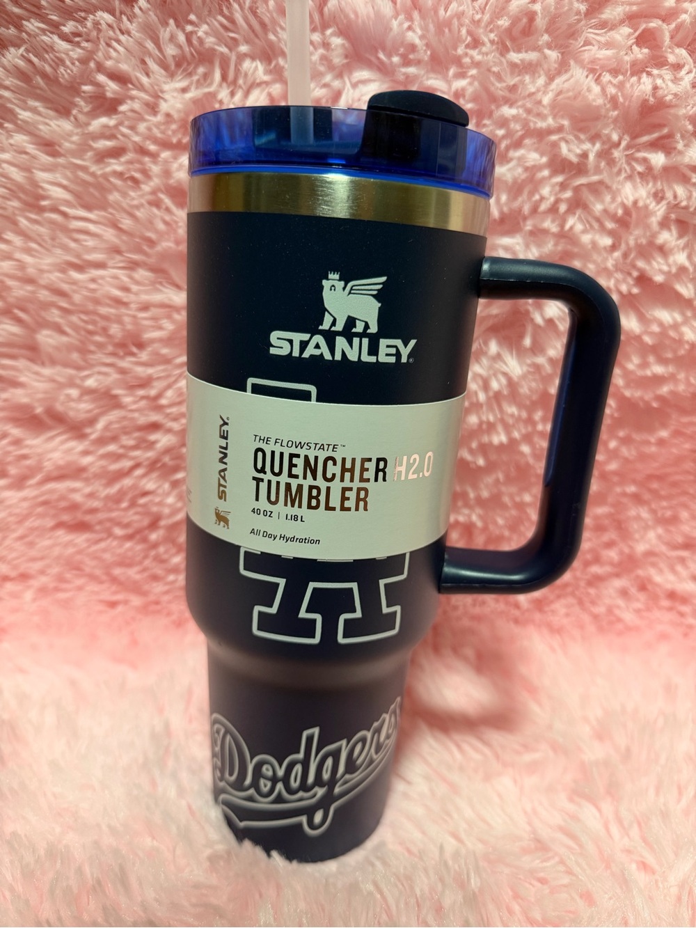 Stanley Dodgers